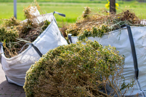 Best Yard Cleanup Services  in Del Norte, CO